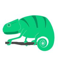 Chameleon IT Service image 1